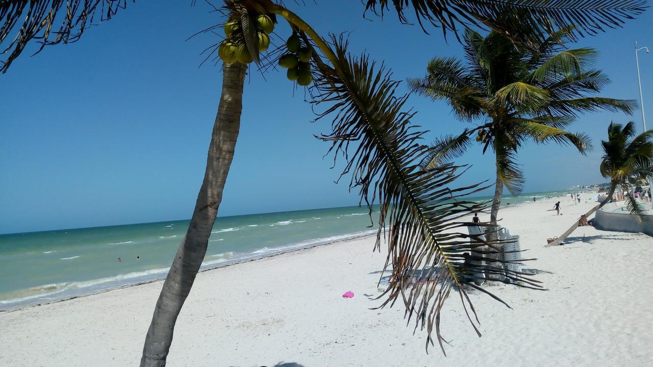 Mayab Suite Progreso  Exteriér fotografie